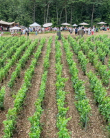 2025 : l'agenda gastronomique du mois de juillet