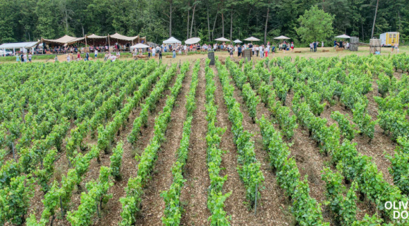 2025 : l'agenda gastronomique du mois de juillet