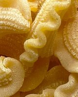 5 astuces de chefs pour bien choisir ses pâtes