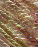 "Un délicieux goûter" : Stéphanie Le Quellec partage une recette parfaite pour l’automne