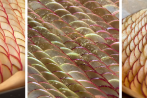 "Un délicieux goûter" : Stéphanie Le Quellec partage une recette parfaite pour l’automne