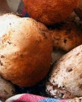 Bourguignon de cèpes : la recette du chef Victor Mercier qu’on a envie de refaire tout l'automne