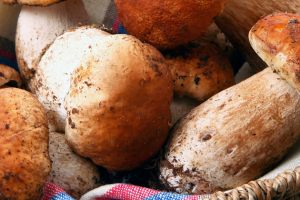 Bourguignon de cèpes : la recette du chef Victor Mercier qu’on a envie de refaire tout l'automne