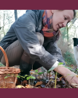 Champignons : 7 conseils de cueillette confiés par Aurélie Sanchez, mycologue
