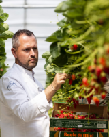 “Nous sommes tous en train de mourir à petit feu” : le cri d’alarme de David Gallienne sur la santé mentale des restaurateurs