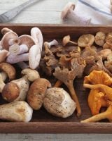 “Grosse erreur” : ce chef dévoile le geste à éviter si vous ne voulez pas gâcher le goût de vos champignons