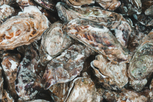 Huîtres Marennes-Oléron : un trésor du littoral façonné par l’affinage en claire