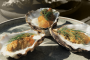 Huîtres panées et sauce citronnée