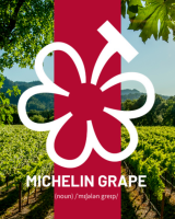 Des étoiles pour le vin : le Guide Michelin lance sa nouvelle distinction