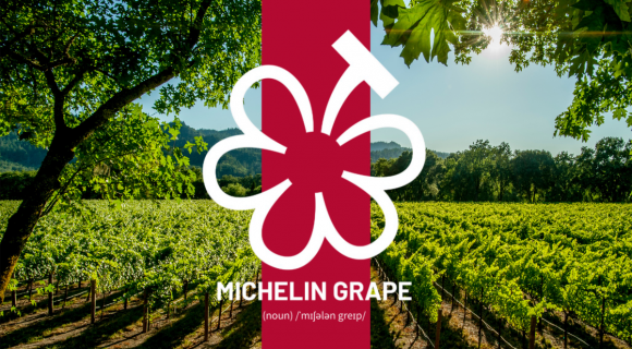 Des étoiles pour le vin : le Guide Michelin lance sa nouvelle distinction