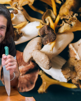 Préparer et cuisiner les champignons : Julien Sebbag partage 5 conseils indispensables