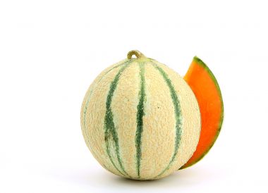 Melon