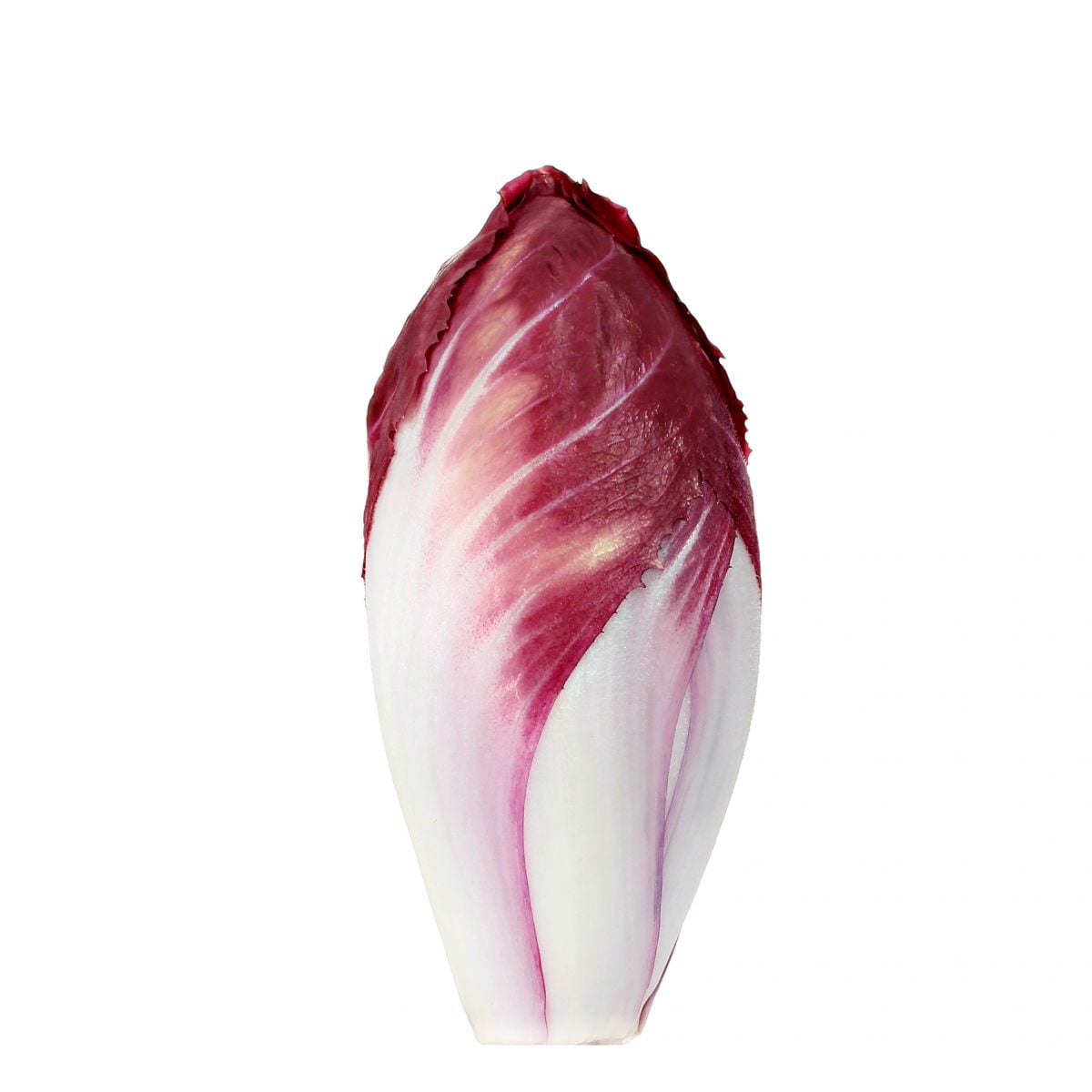 Endive Legumes