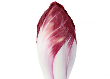 Endive