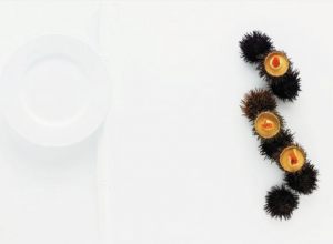 Oursin d’hokkaïdo et yuba, bouillon clair de poissons de roche par Alain Ducasse